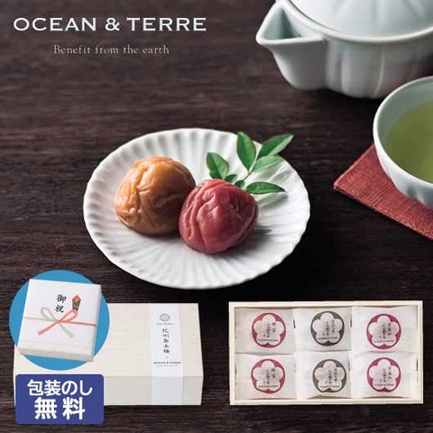  【包装】Ｐｒｅｍｉｕｍ　紀州南高梅　６粒　木箱入り