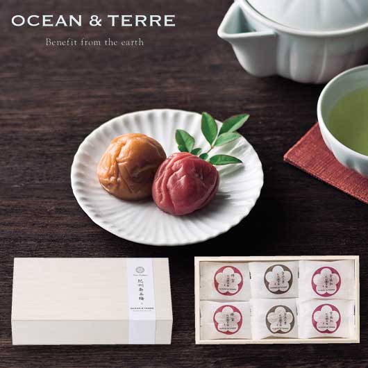 【包装】Ｐｒｅｍｉｕｍ　紀州南高梅　６粒　木箱入り画像4