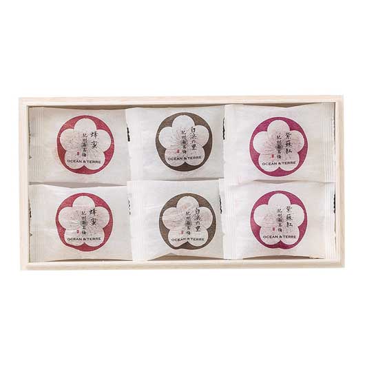 Ｐｒｅｍｉｕｍ　紀州南高梅　６粒　木箱入り画像6