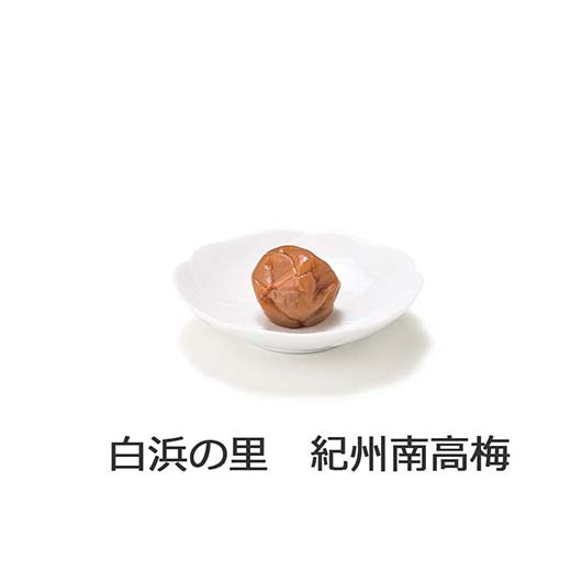 Ｐｒｅｍｉｕｍ　紀州南高梅　６粒　木箱入り画像9