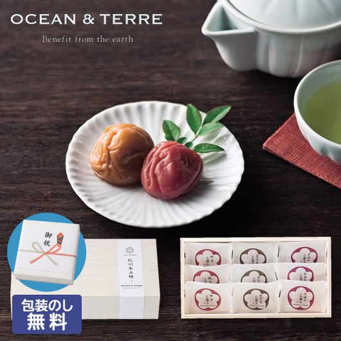 【包装】Ｐｒｅｍｉｕｍ　紀州南高梅　９粒　木箱入り