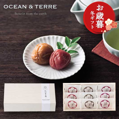  【お歳暮】Ｐｒｅｍｉｕｍ　紀州南高梅　９粒　木箱入り