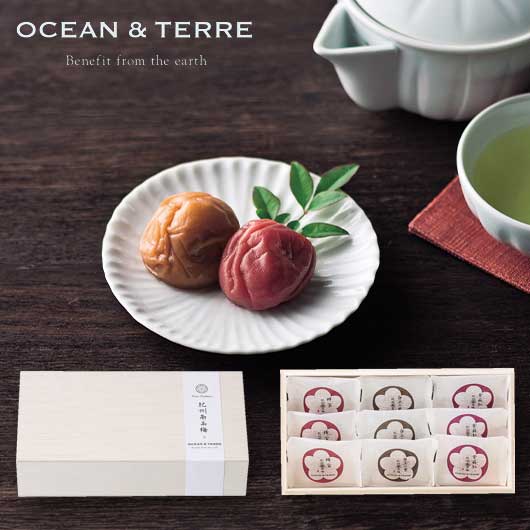 【ホワイトデー】Ｐｒｅｍｉｕｍ　紀州南高梅　９粒　木箱入り画像2