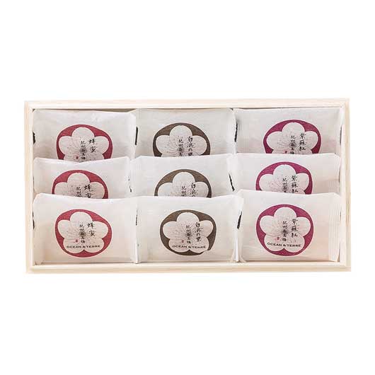 【敬老】Ｐｒｅｍｉｕｍ　紀州南高梅　９粒　木箱入り画像5