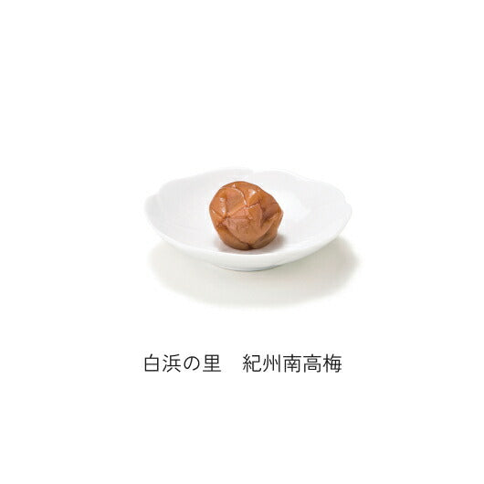 【包装】Ｐｒｅｍｉｕｍ　紀州南高梅＆日本茶セットＦ画像7