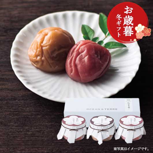  【お歳暮】Ｐｒｅｍｉｕｍ　紀州南高梅セットＤ