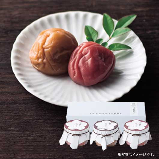 【お歳暮】Ｐｒｅｍｉｕｍ　紀州南高梅セットＤ画像2