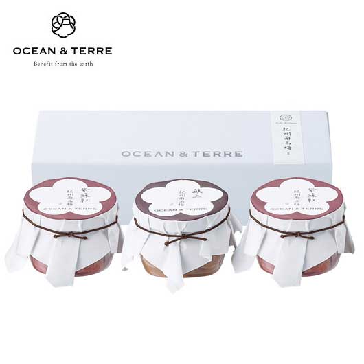 【お歳暮】Ｐｒｅｍｉｕｍ　紀州南高梅セットＤ画像4