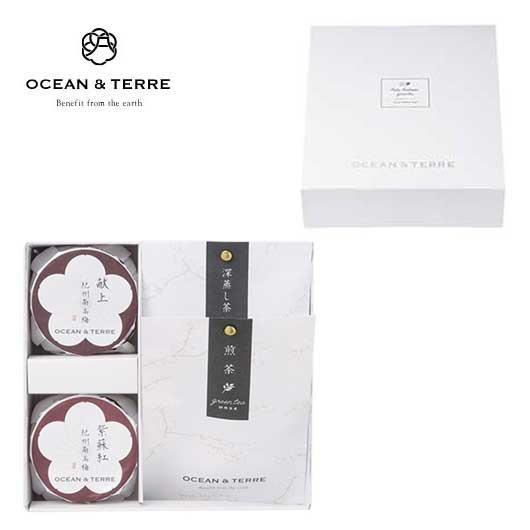 【お中元】Ｐｒｅｍｉｕｍ　紀州南高梅＆日本茶セットＢ画像3