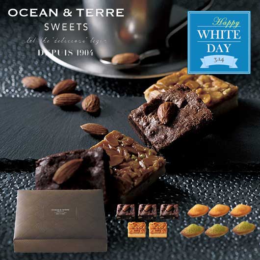  【ホワイトデー】ぷっくりマドレーヌ＆ブラウニー＆フロランタン