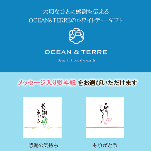 【ホワイトデー】手作り　最中画像8