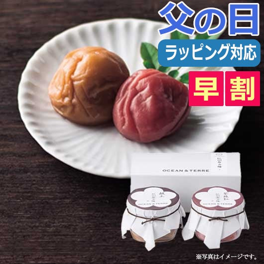  【父の日】Ｐｒｅｍｉｕｍ　紀州南高梅セットＡ