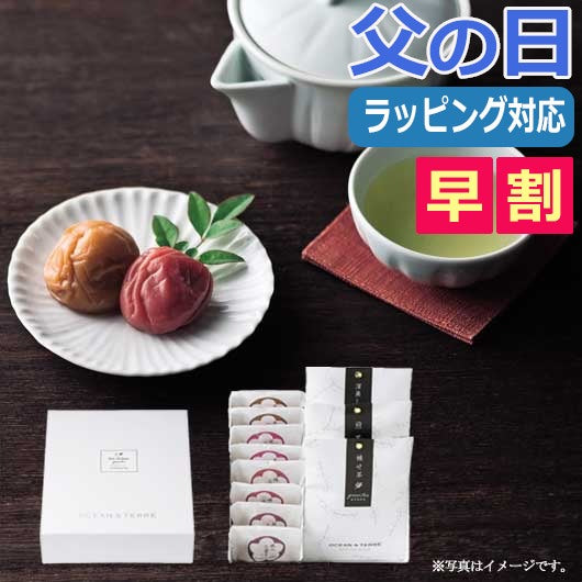  【父の日】Ｐｒｅｍｉｕｍ　紀州南高梅＆日本茶セットＦ