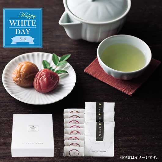  【ホワイトデー】Ｐｒｅｍｉｕｍ　紀州南高梅＆日本茶セットＦ