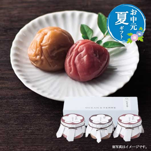  【お中元】Ｐｒｅｍｉｕｍ　紀州南高梅セットＤ