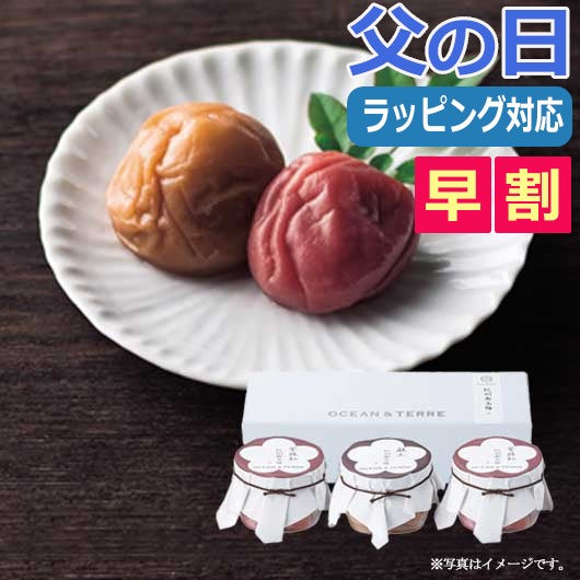  【父の日】Ｐｒｅｍｉｕｍ　紀州南高梅セットＤ