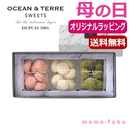  【母の日】ブールド・ネージュ　セットＣ