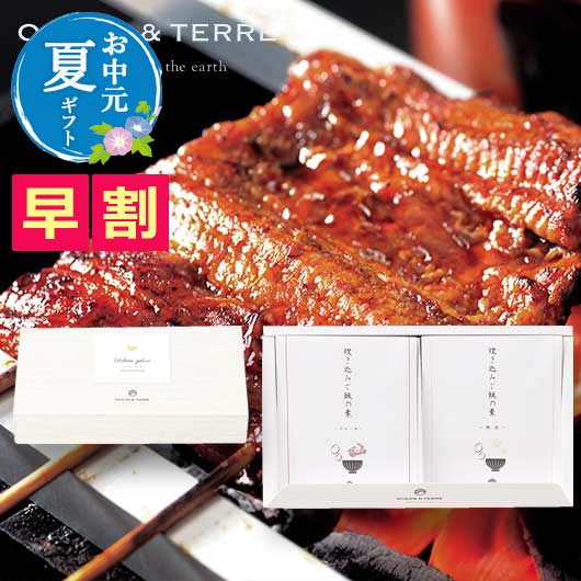  【お中元】炊き込みご飯の素セットＤ