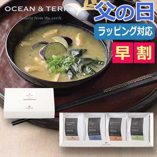  【お中元】フリーズドライ　お味噌汁セットＡ