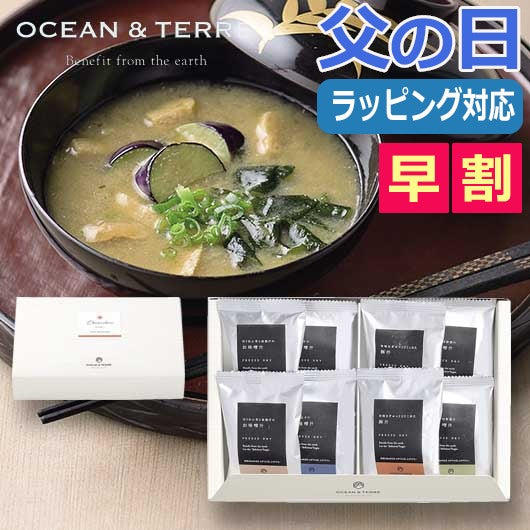  【父の日】フリーズドライ　お味噌汁セットＢ