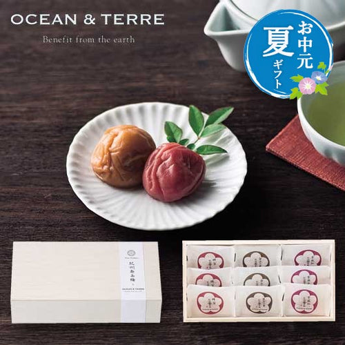 【お中元】Ｐｒｅｍｉｕｍ　紀州南高梅　９粒　木箱入り