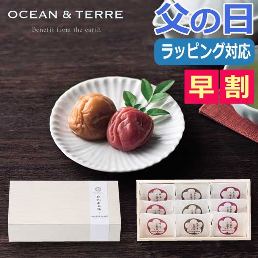  【父の日】Ｐｒｅｍｉｕｍ　紀州南高梅　９粒　木箱入り