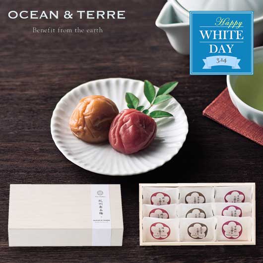  【ホワイトデー】Ｐｒｅｍｉｕｍ　紀州南高梅　９粒　木箱入り