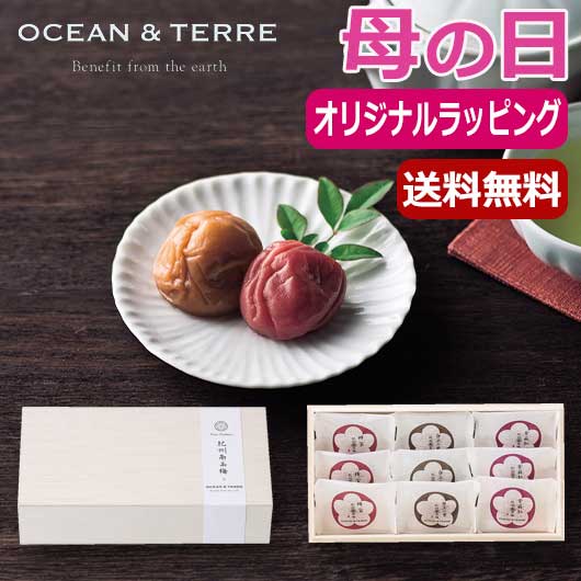  【母の日】Ｐｒｅｍｉｕｍ　紀州南高梅　９粒　木箱入り