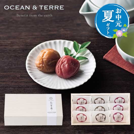  【お中元】Ｐｒｅｍｉｕｍ　紀州南高梅　９粒　木箱入り