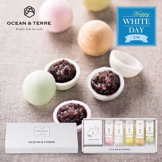  【ホワイトデー】手作り　最中