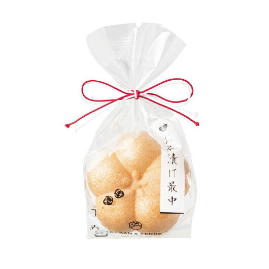 【プチギフト 1000円】 お茶漬け最中 １個
和風 詰合せ 梅 かめ OCEAN＆TERRE おしゃれ お礼 敬老の日 手土産 プレゼント画像7