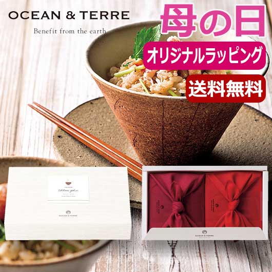  【母の日】ＴＳＵＴＳＵＭＩ　炊き込みご飯の素セットＢ