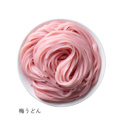 【包装】野菜うどんセットI（梅＆ほうれん草＆かぼちゃうどん・スープの素付）画像7