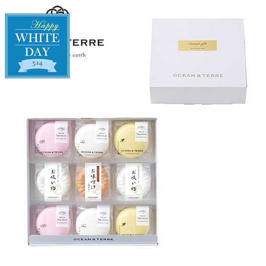  【ホワイトデー】最中詰め合わせセットＣ