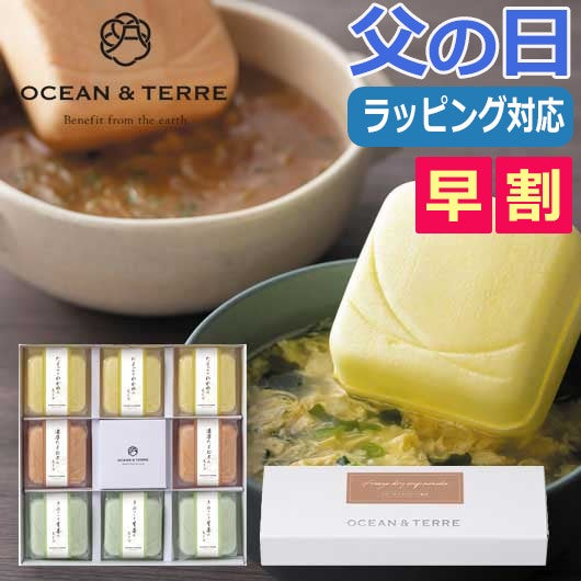 【父の日】フリーズドライスープ最中セットＢ