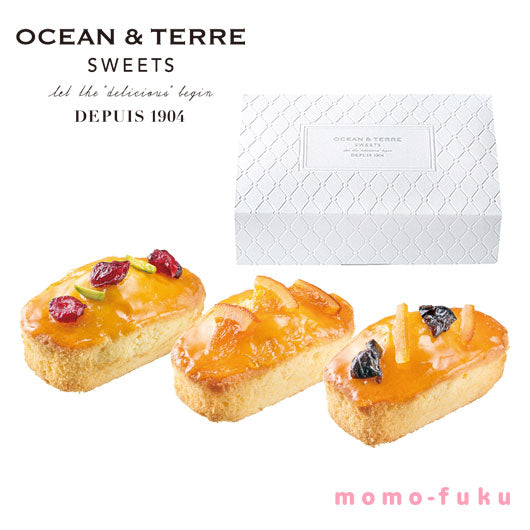  【プチギフト 1000円】Ｆｒｕｉ（フリュイ）
結婚式 引き出物 引き菓子 熨斗 内祝い ocean&terre パウンドケーキ 人気 おすすめ おしゃれ
