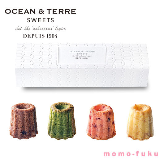 【包装】クグロフティノ画像3