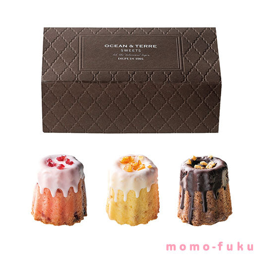 【お歳暮】クグロフティノチョコ　　（期間限定１１月～３月）画像5