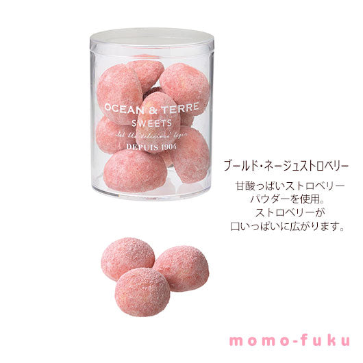 【母の日】ブールド・ネージュ　セットＣ画像4