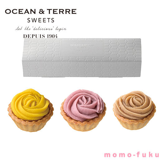 【包装】フラワーモンブラン画像2