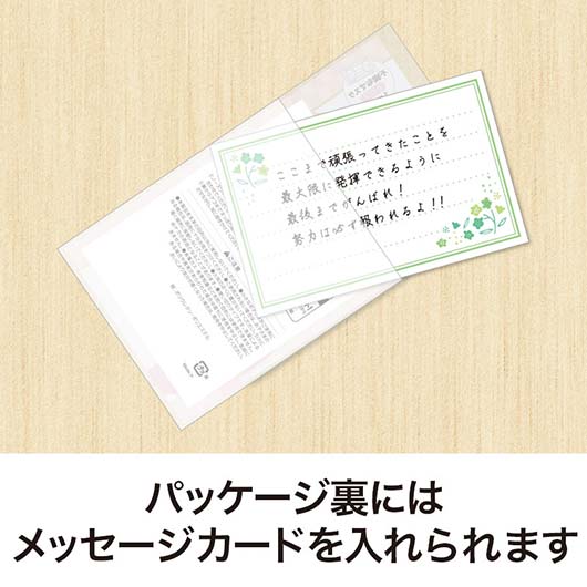 合格祈願　不織布マスク（１枚入り）画像4