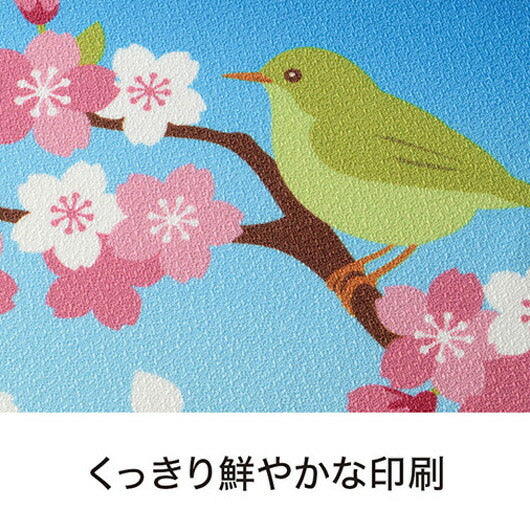 さくらさく　ふろしき画像5