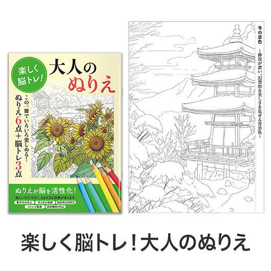 お得な２種セット　楽しく脳トレ！大人のぬりえ画像4