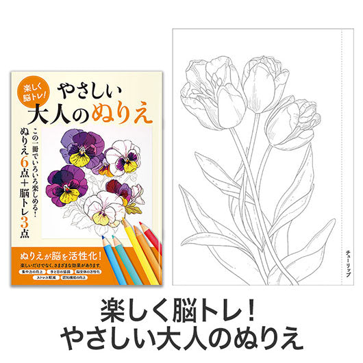 お得な２種セット　楽しく脳トレ！大人のぬりえ画像5