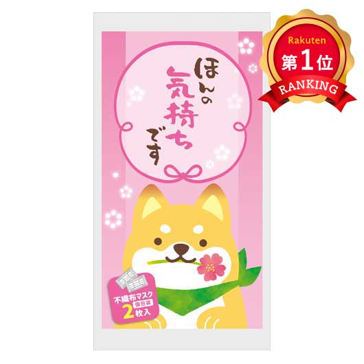  ほんの気持ち　不織布マスク（個包装２枚入り）