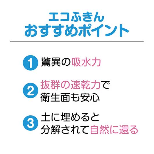 福柴と富士山　超吸水！エコふきん画像10