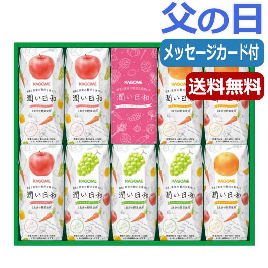 18 【父の日】カゴメ　潤い日和（９本）