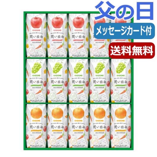 18 【父の日】カゴメ　潤い日和（１５本）