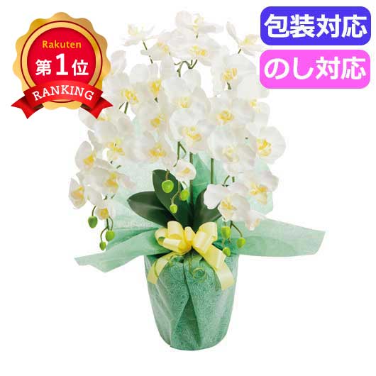  ＳＣ触媒加工　プラチナ胡蝶蘭（アーティフィシャルフラワー）　ホワイトイエロー　ＨＣＡ２－ＷＹ－２３〈ホワイトイエロー〉
