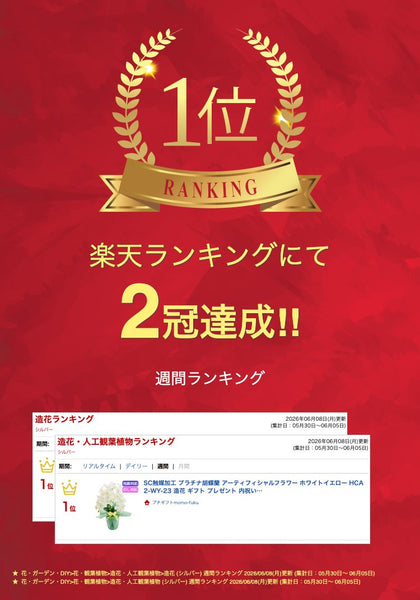 ＳＣ触媒加工　プラチナ胡蝶蘭（アーティフィシャルフラワー）　ホワイトイエロー　ＨＣＡ２－ＷＹ－２３〈ホワイトイエロー〉画像2